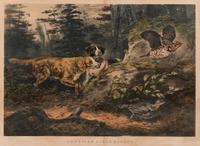 CURRIER and IVES, publishers -- After Arthur F. Tait American Field Sports. "Flush'd," 1857 (G.0162).