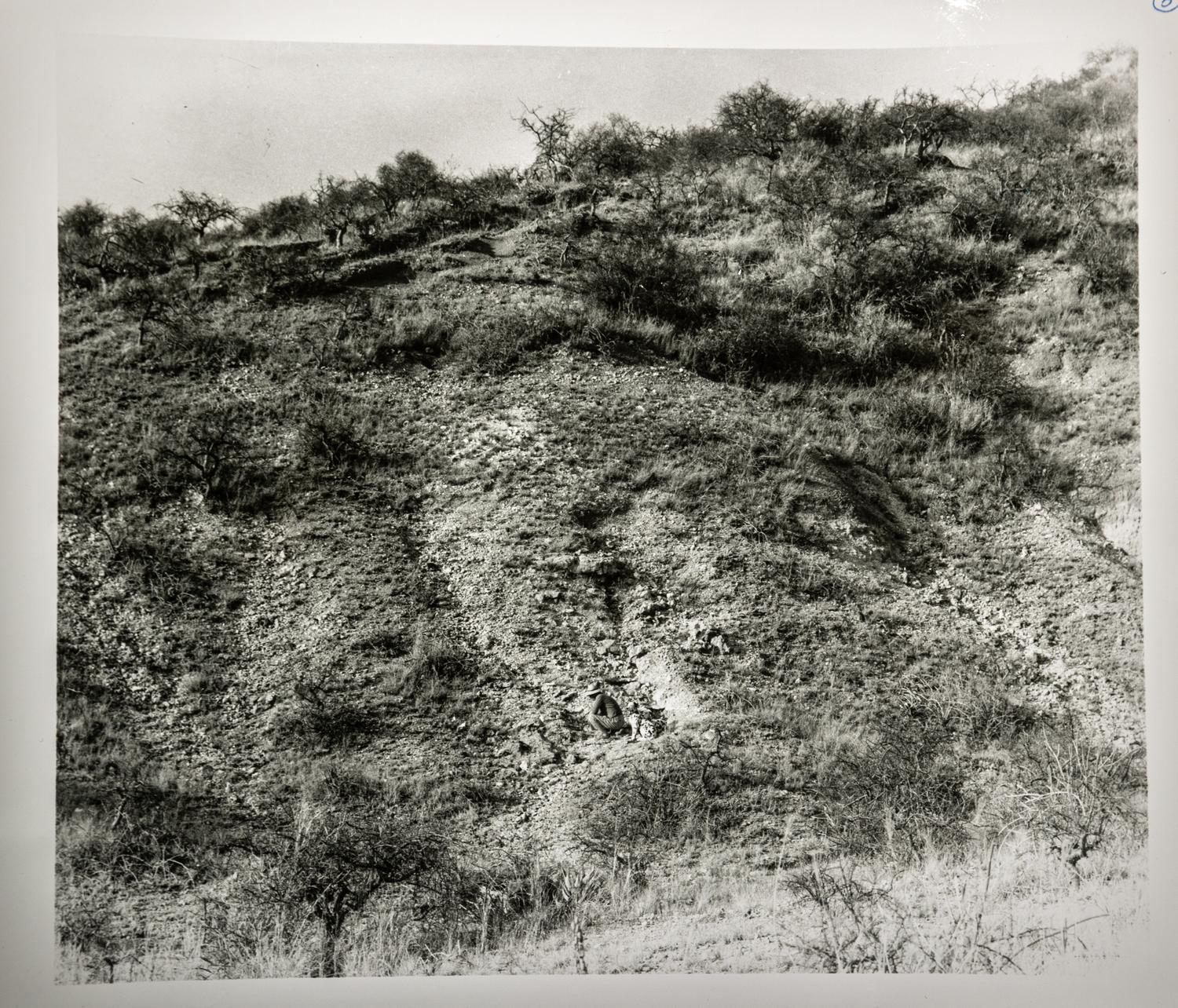 An Oldowan Stone Pebble Tool from Olduvai Gorge