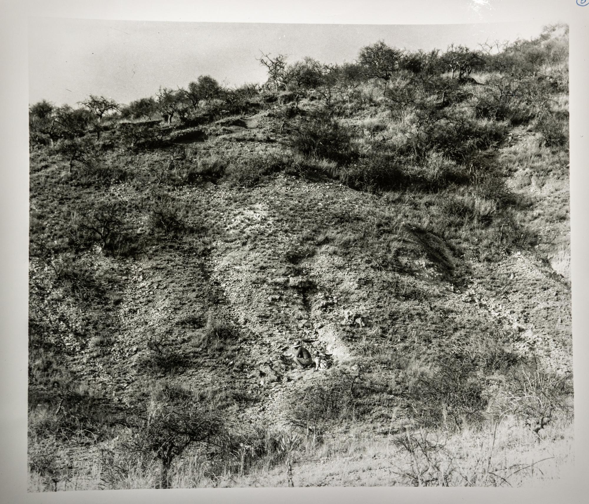 An Oldowan Stone Pebble Tool from Olduvai Gorge