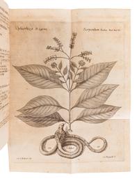 LINNAEUS, Carolus (1707-1778). Materia Medica, Liber I. de Planti s. Stockholm: Laurentius Salvius, 1749.