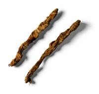 A Pair of Mummified Young Crocodiles