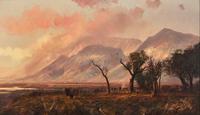 The Buffalo Trail