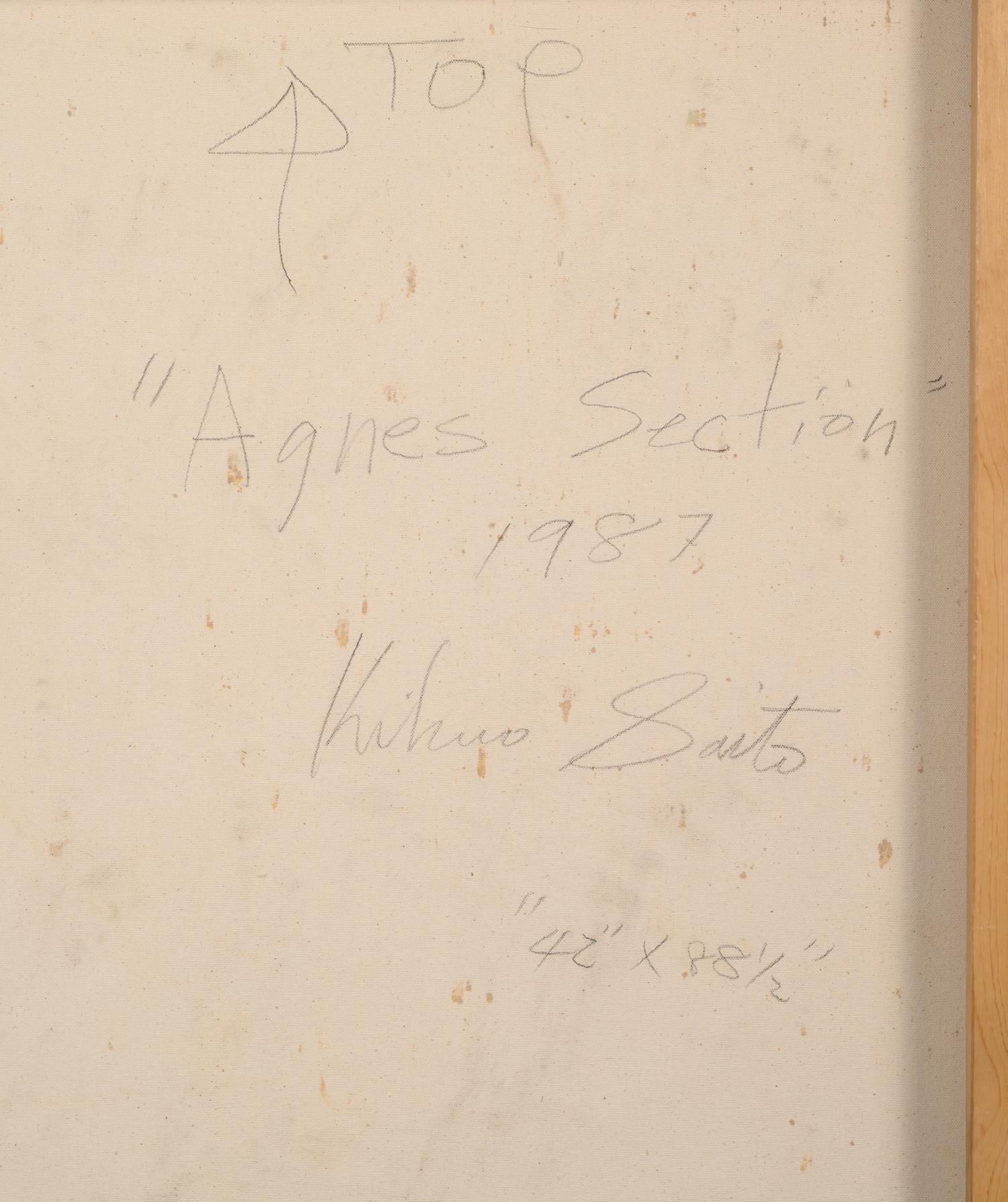 Agnes Section