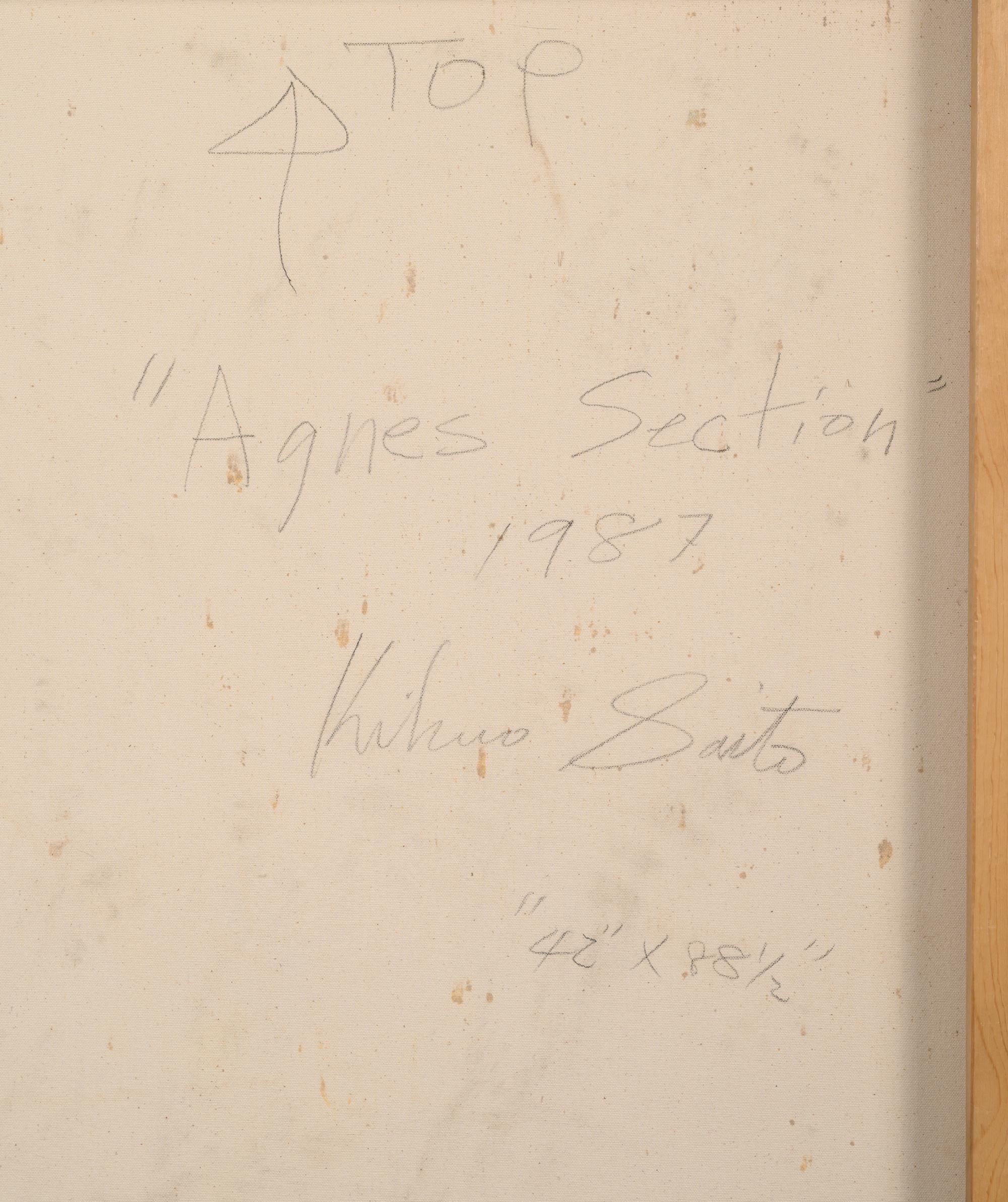 Agnes Section
