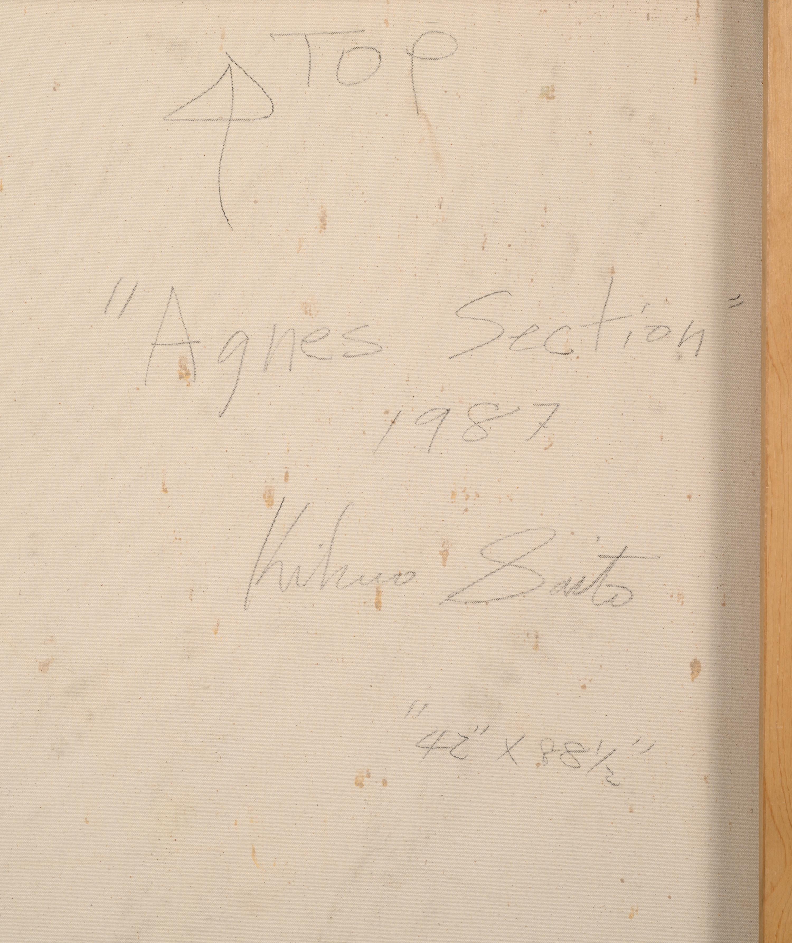 Agnes Section