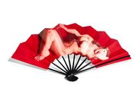 Aimai-no-bi (Ambiguous Beauty)(Norton Family Christmas Project), 1995