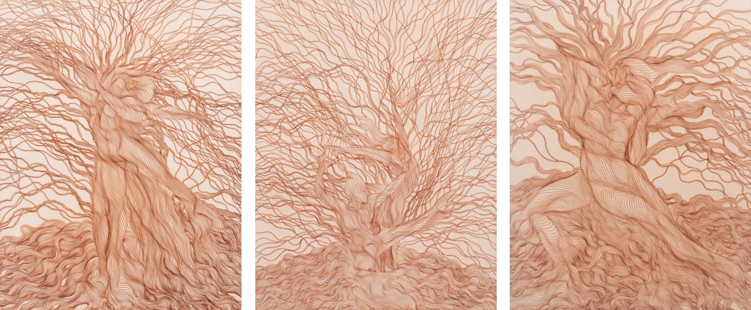 Willow Etching Triptych