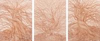 Willow Etching Triptych