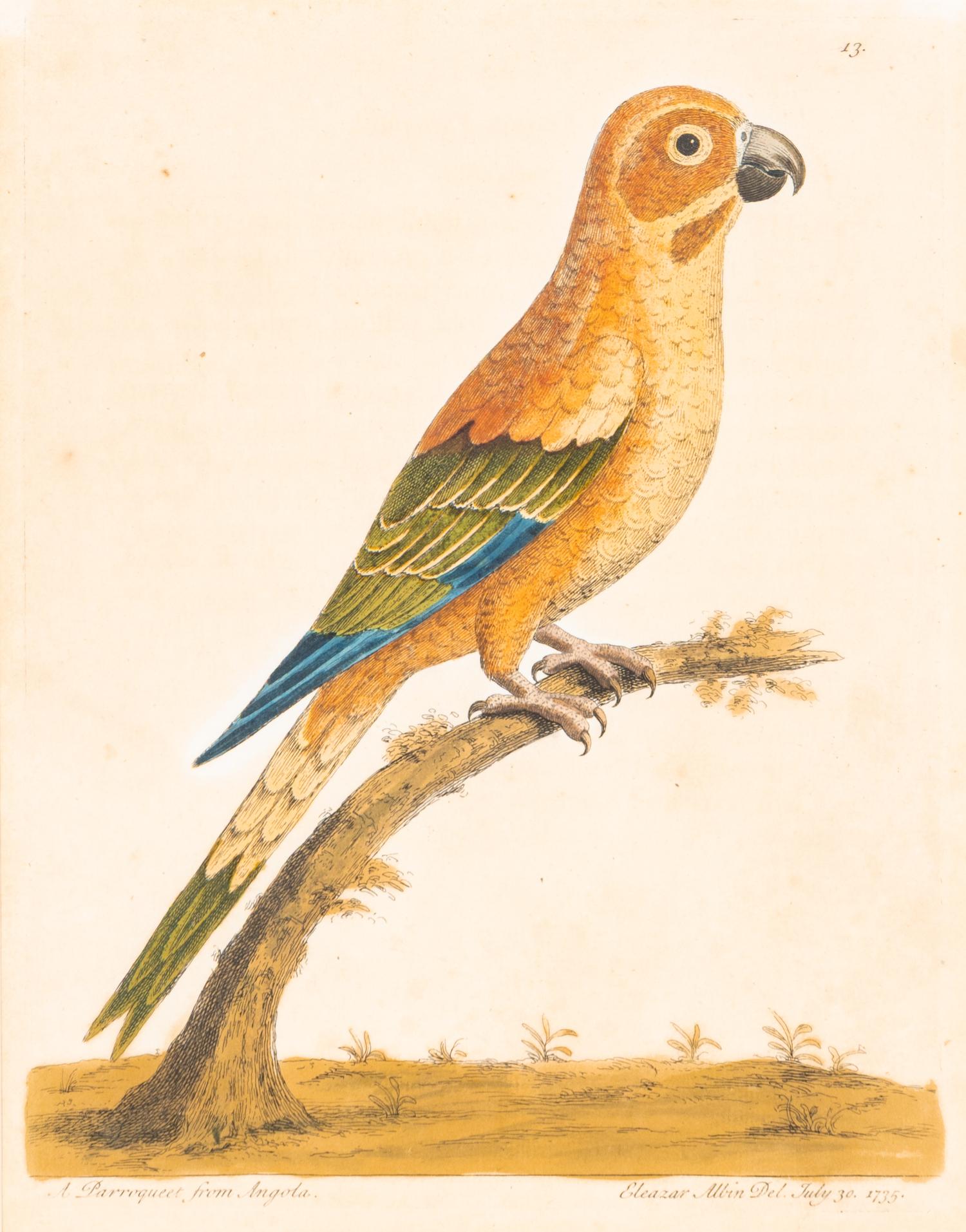 A Group of Nine Hand-Colored Engravings of Birds