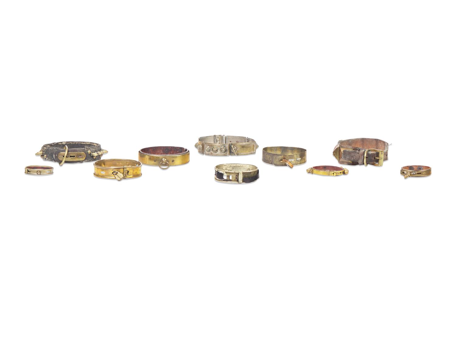 A Group of Nineteen Brass and Mixed Metal-Mounted Dog Collars