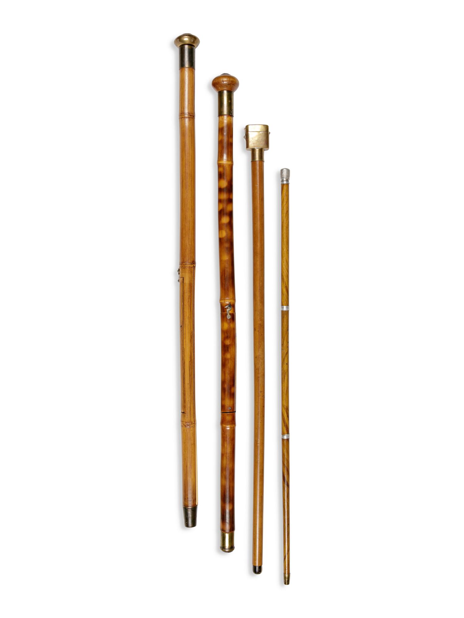 Four Artist's System Walking Sticks