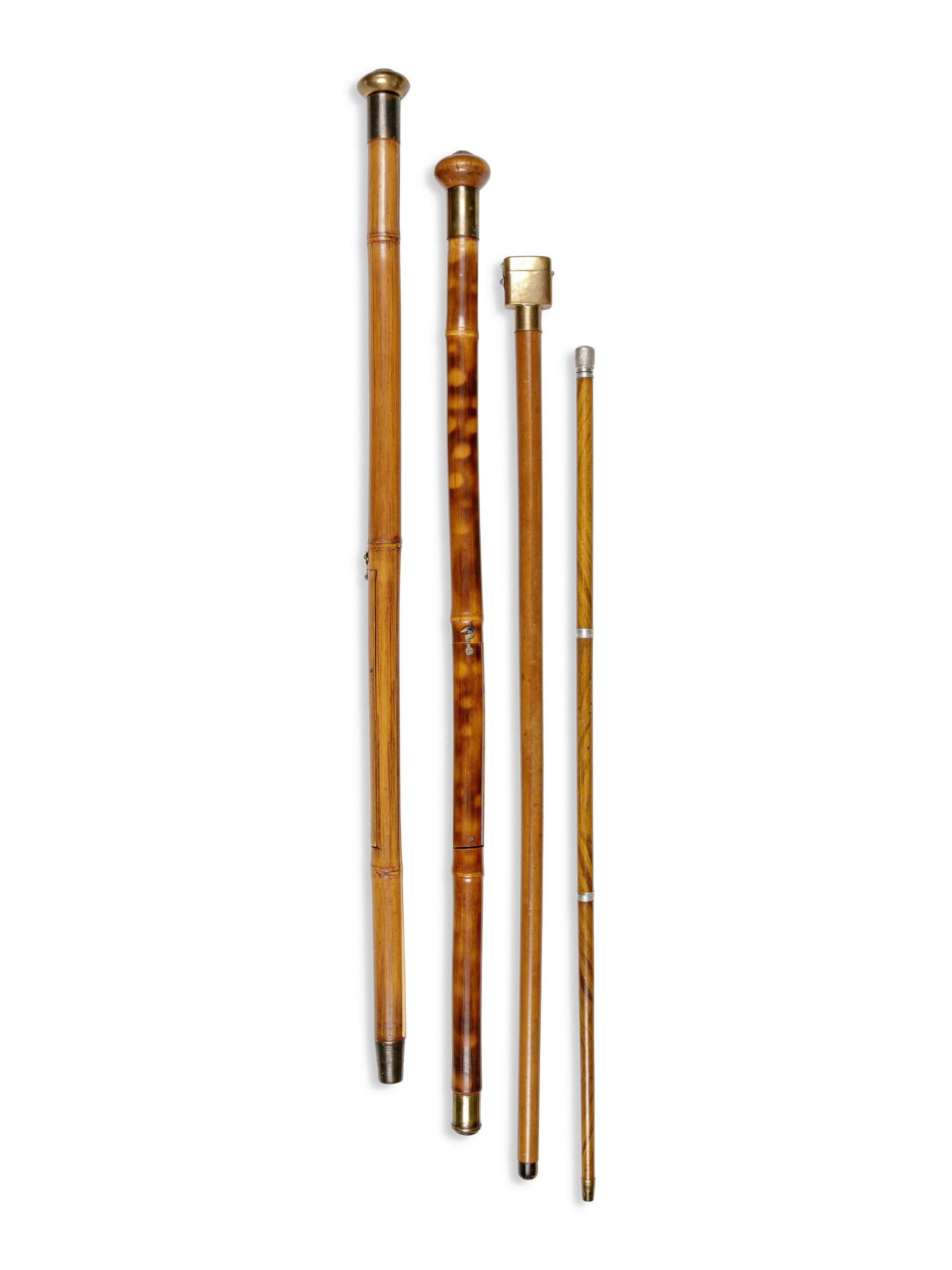 Four Artist's System Walking Sticks