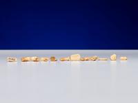 Inupiat Fossilized Walrus Ivory Labrets