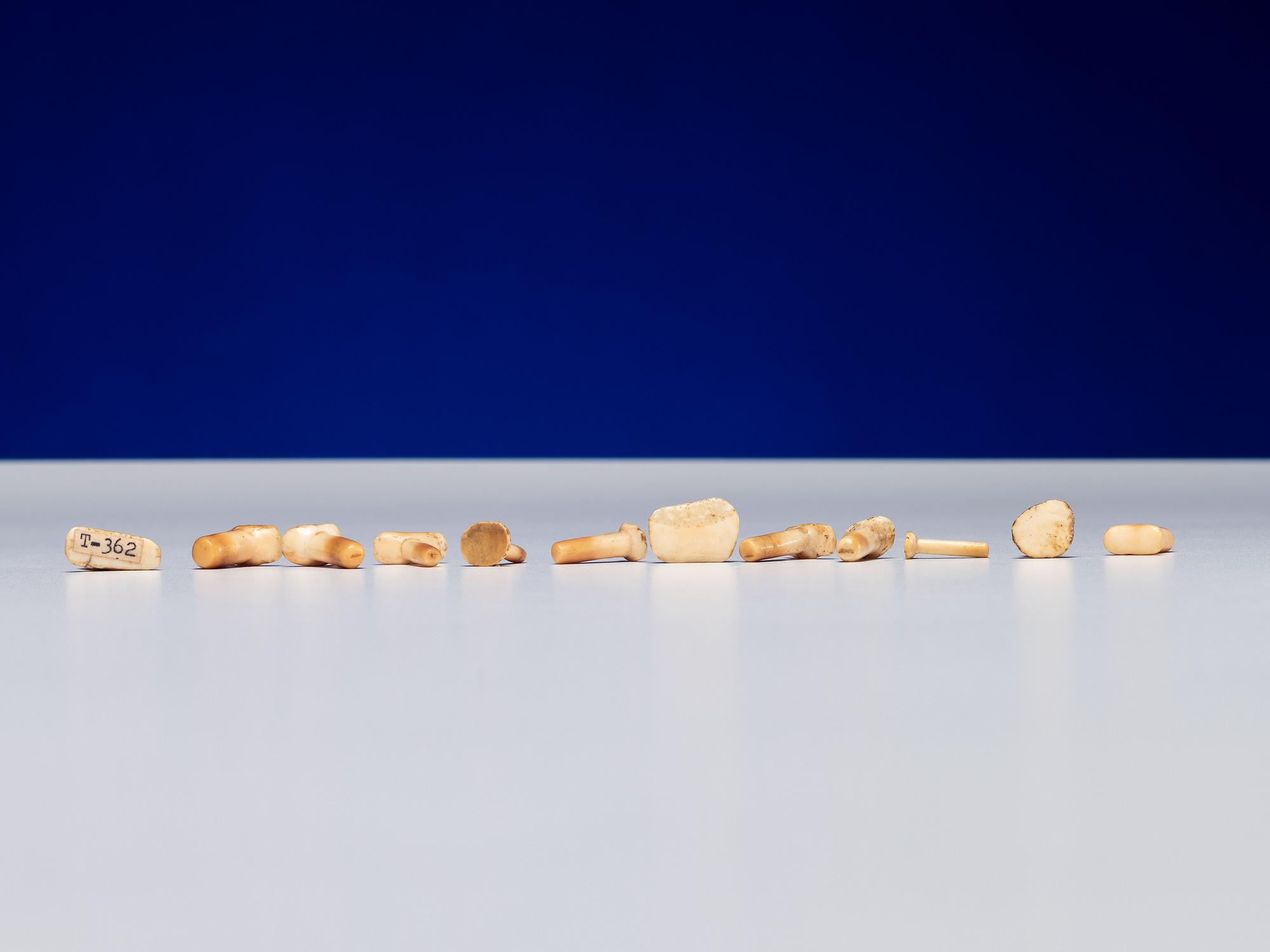 Inupiat Fossilized Walrus Ivory Labrets