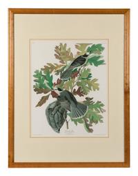 [AUDUBON]. Canada Jay. 20th century reproduction. Matted and framed.