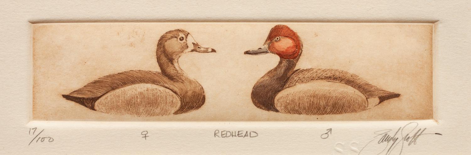 Six Framed Prints, in Four Frames: Green-Winged Teal, Artist's Proof; Goldeneye & Bluebill Decoys, edition 34/100; Black Duck, edition 28/100; together in one frame: Redhead , edition 17/100; Bluebill , edition 10/100; Pintail , Artist's Proof