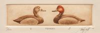 Six Framed Prints, in Four Frames: Green-Winged Teal, Artist's Proof; Goldeneye & Bluebill Decoys, edition 34/100; Black Duck, edition 28/100; together in one frame: Redhead , edition 17/100; Bluebill , edition 10/100; Pintail , Artist's Proof