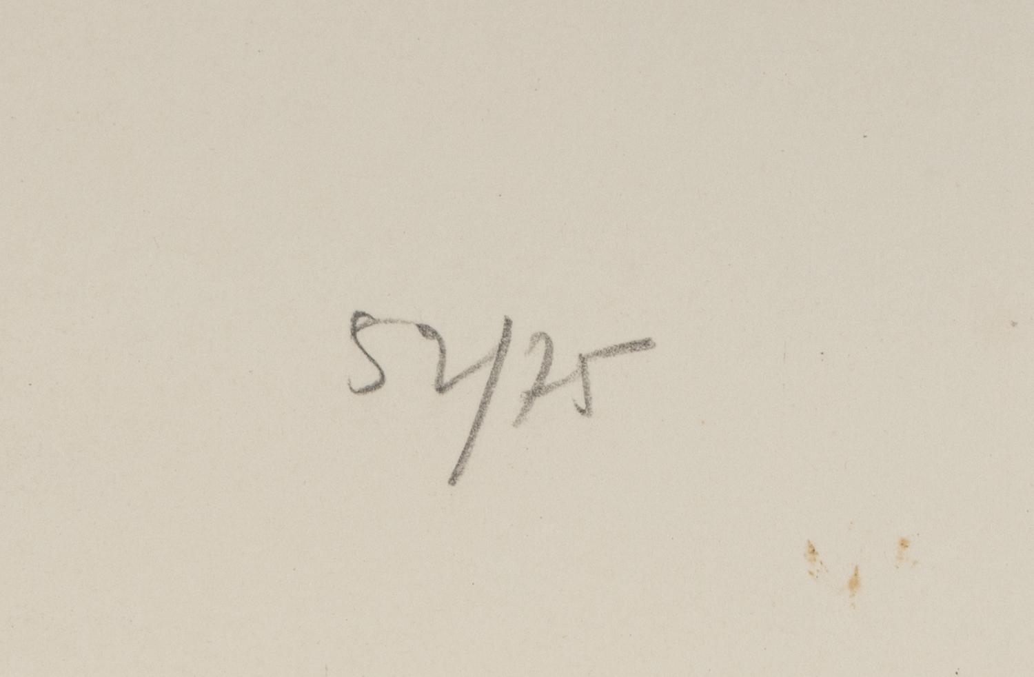 La Mère de l'artiste lisant sous la lampe à Stampa III, 1963