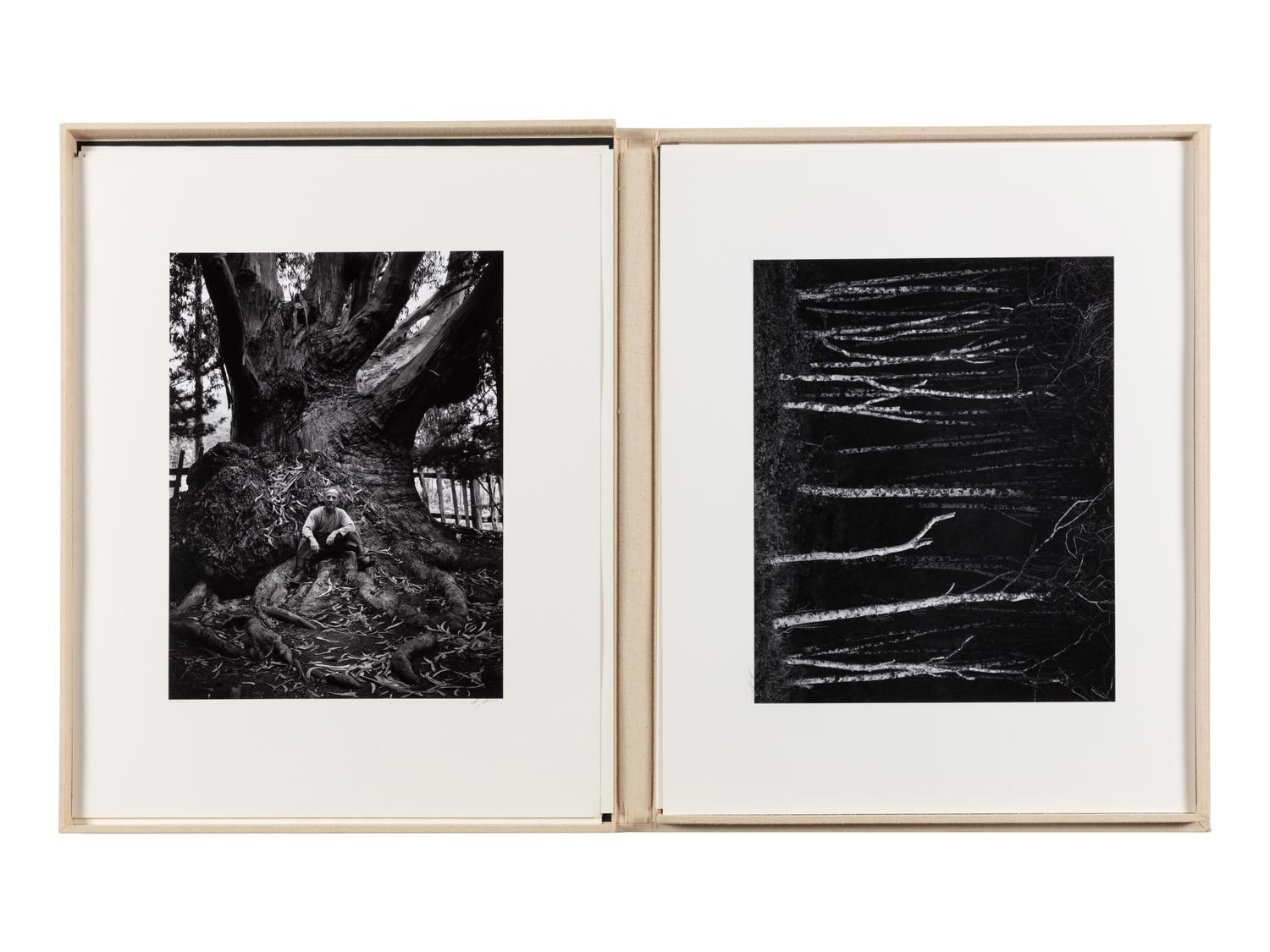 Ansel Adams (1902-1984) Portfolio VI, 1974