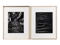 Ansel Adams (1902-1984) Portfolio VI, 1974