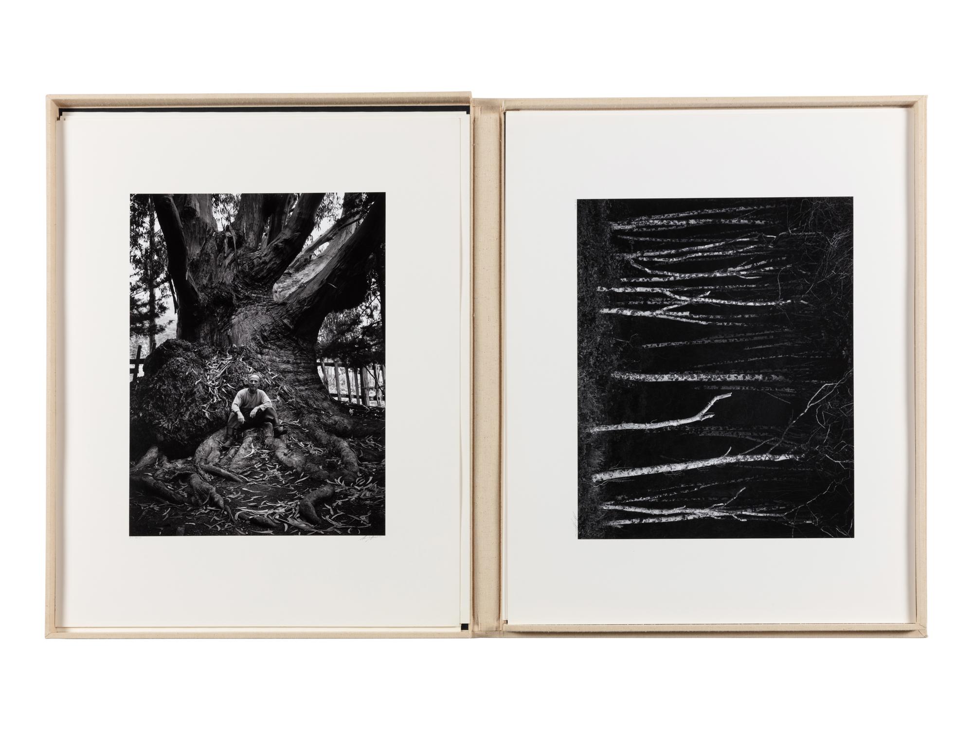 Ansel Adams (1902-1984) Portfolio VI, 1974