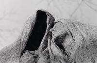 Untitled , 1983 (from BAM Photography Portfolio III ); printed 2008