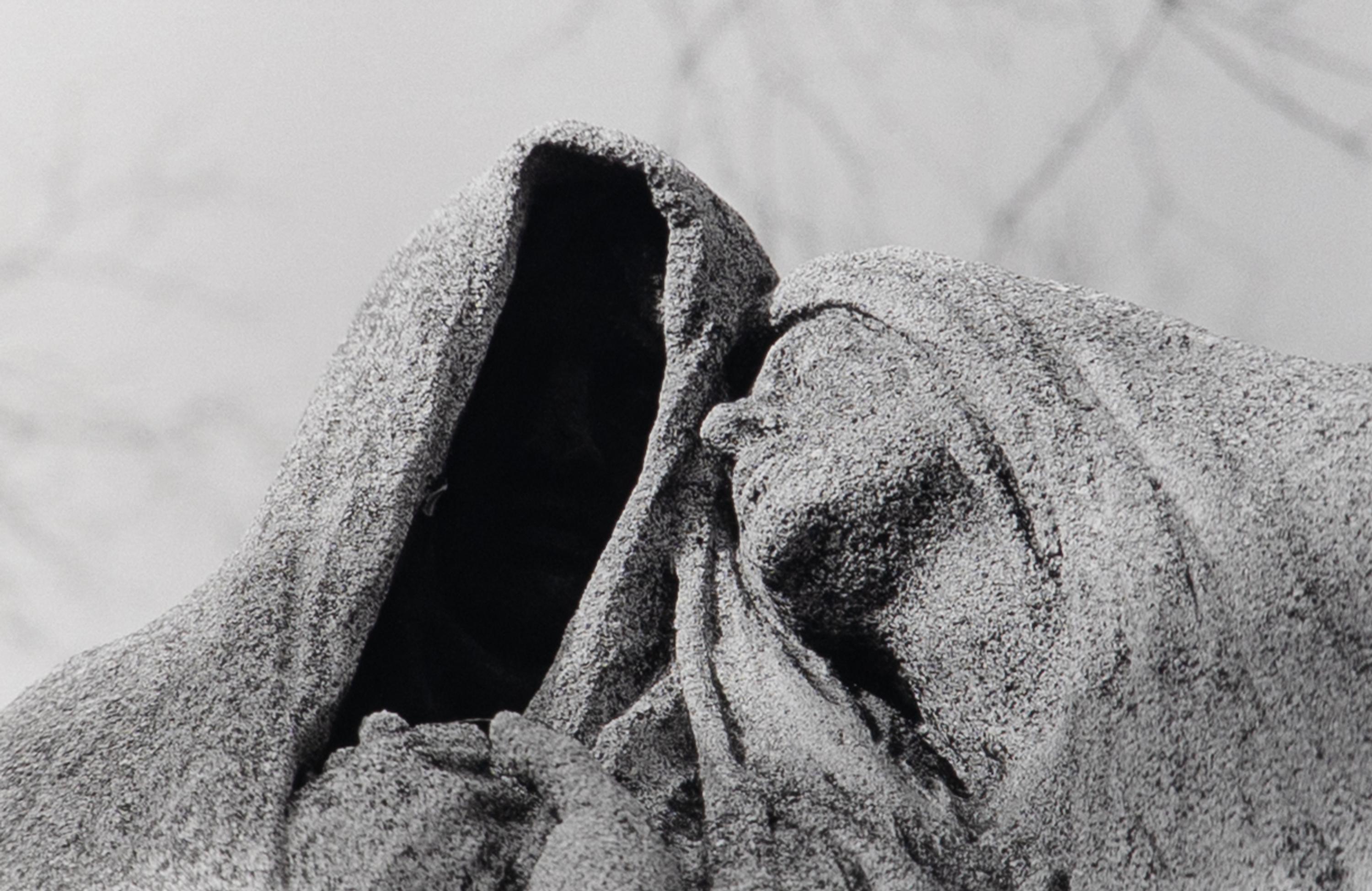 Untitled , 1983 (from BAM Photography Portfolio III ); printed 2008