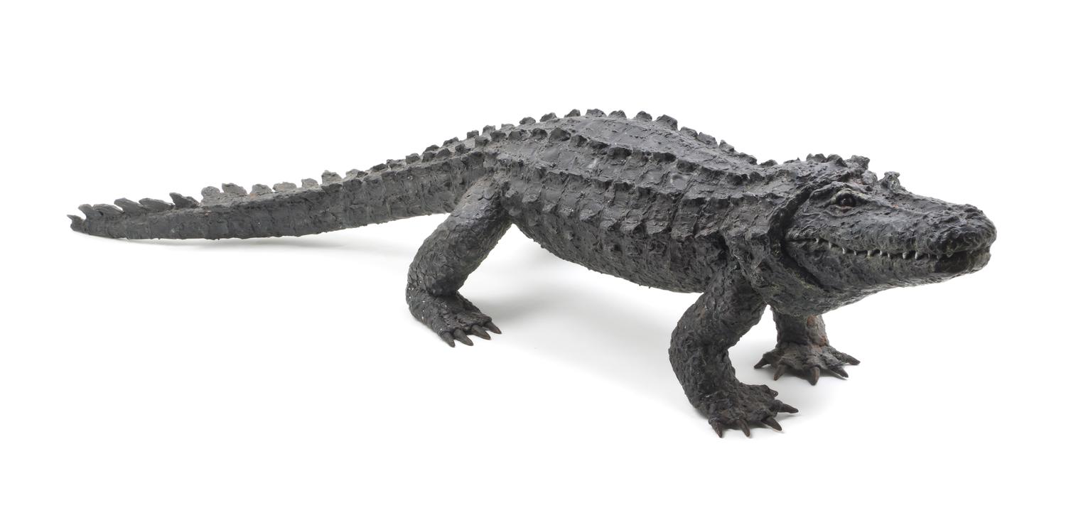 A Cast and Patinated Metal Alligator, Length 47 1/2 inches.