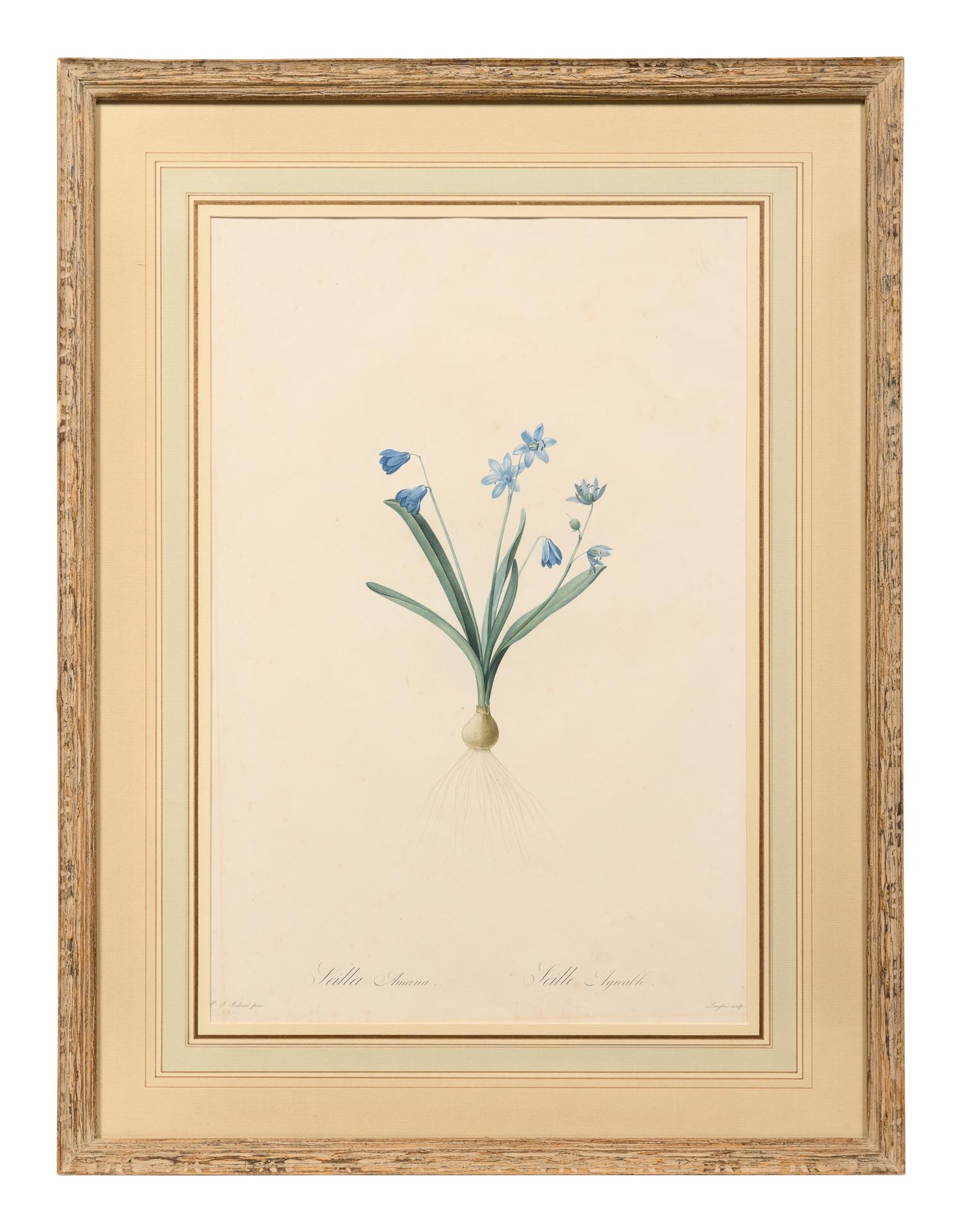 A Set of Six Botanical Artworks