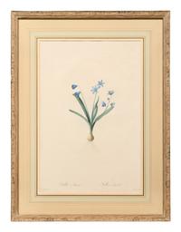 A Set of Six Botanical Artworks
