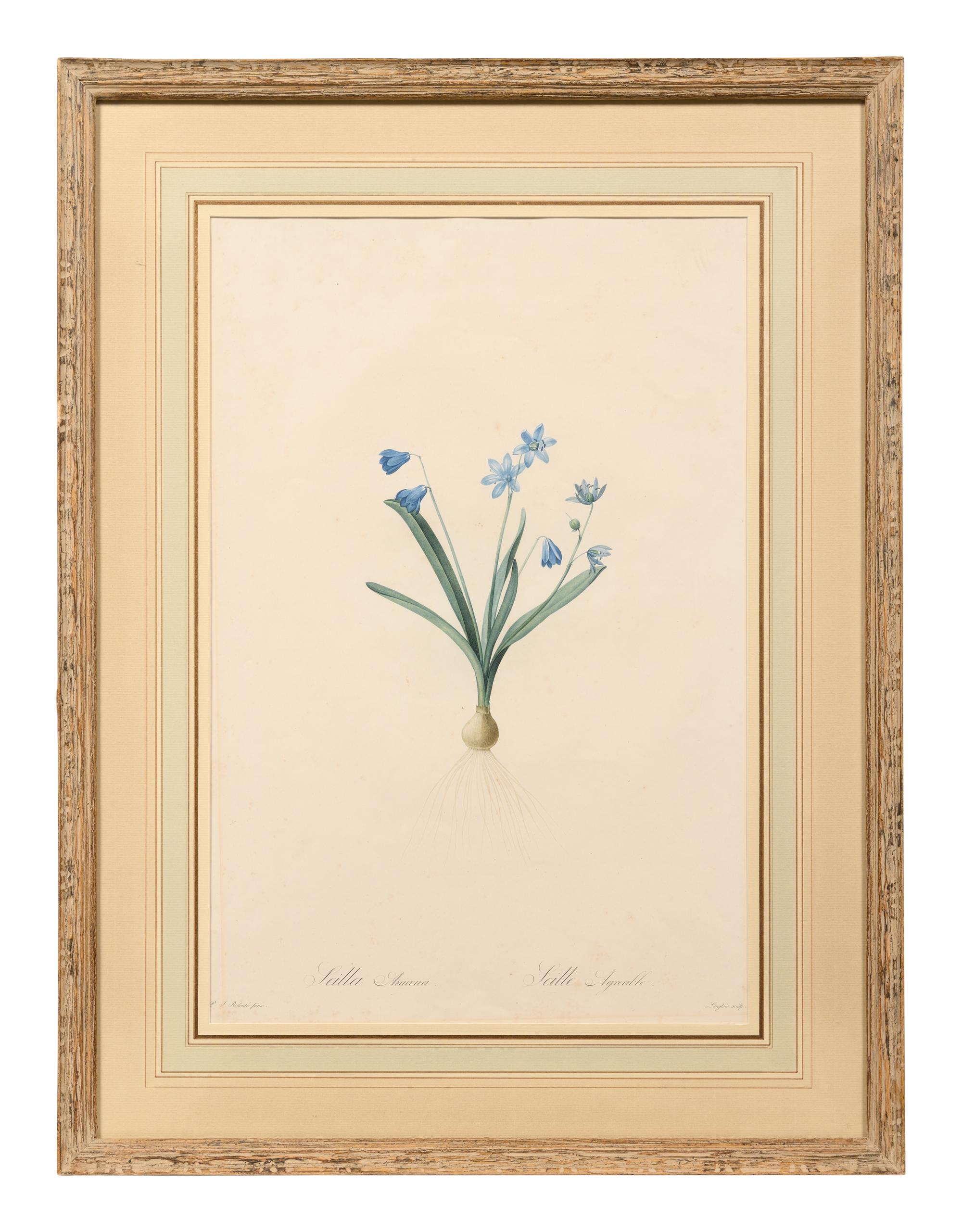 A Set of Six Botanical Artworks