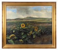 Sunflower Fields