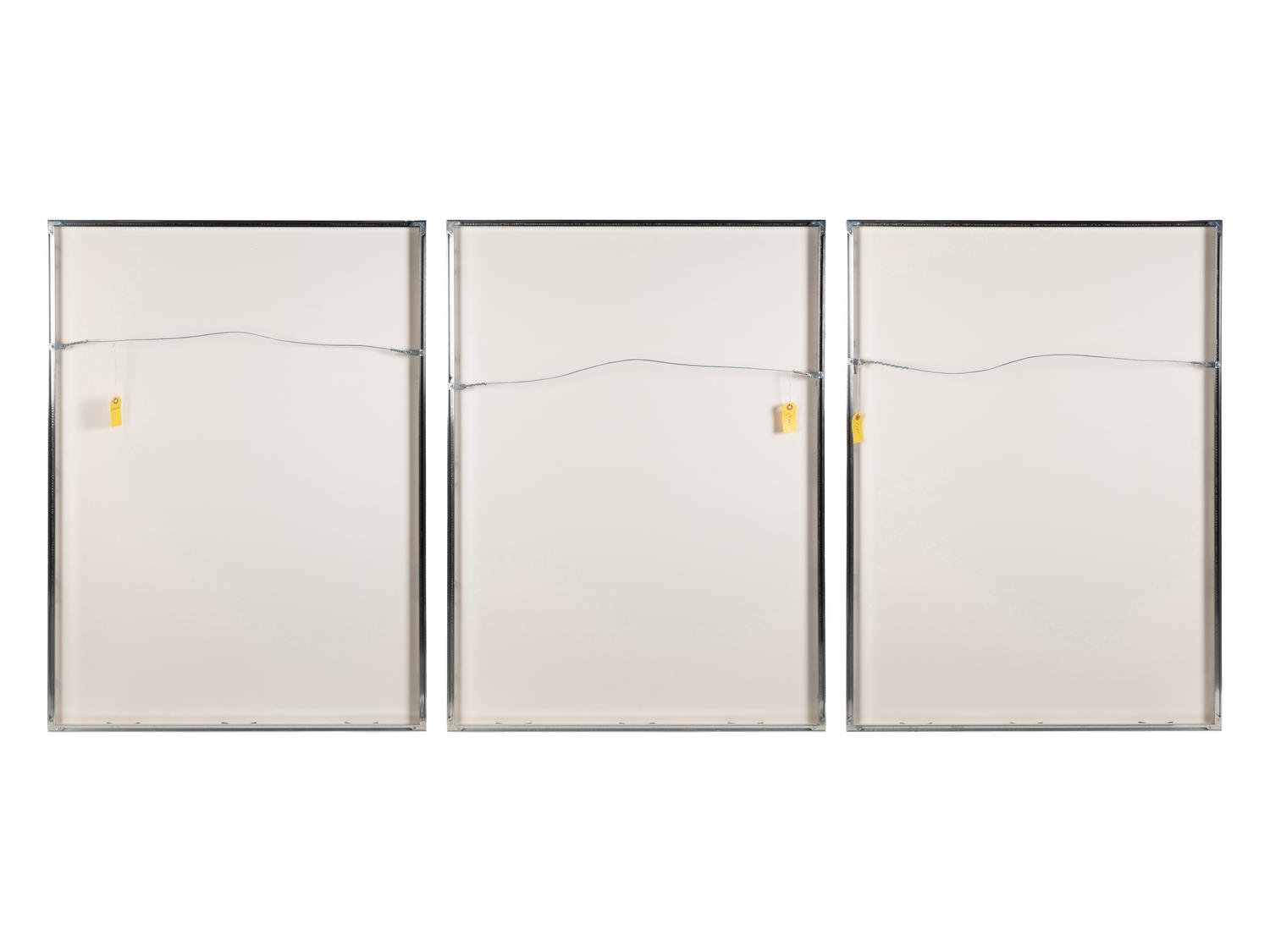 Vertical Lines Not Straight Not Touching on Color (plate numbers 1, 2, and 5 from the portfolio of six)