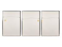 Vertical Lines Not Straight Not Touching on Color (plate numbers 1, 2, and 5 from the portfolio of six)