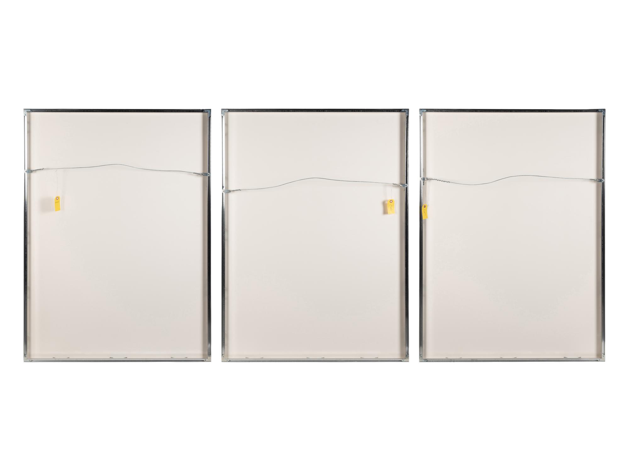 Vertical Lines Not Straight Not Touching on Color (plate numbers 1, 2, and 5 from the portfolio of six)