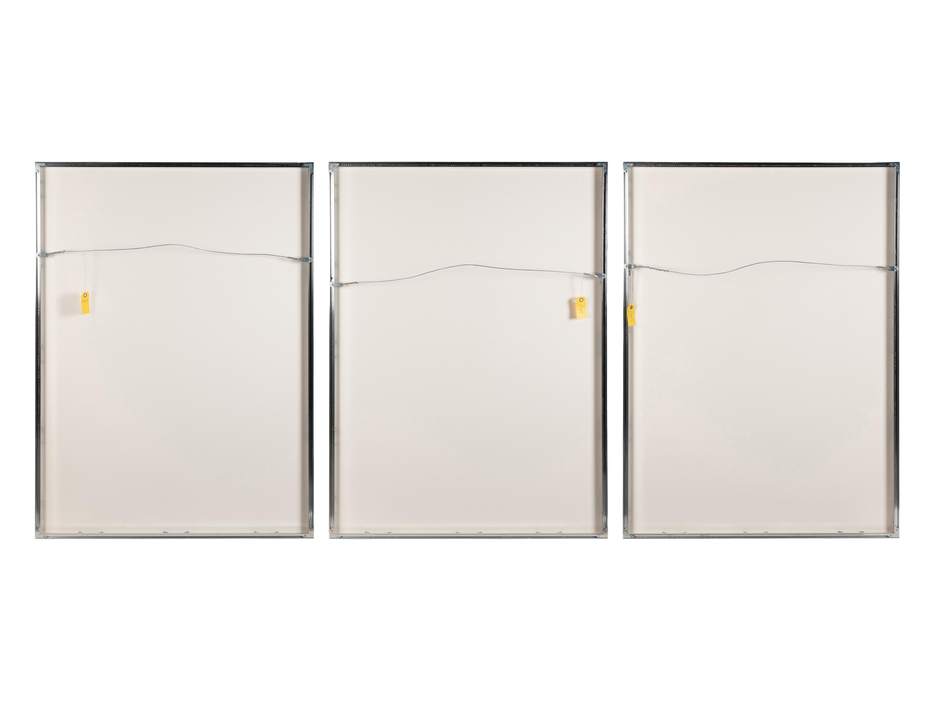 Vertical Lines Not Straight Not Touching on Color (plate numbers 1, 2, and 5 from the portfolio of six)