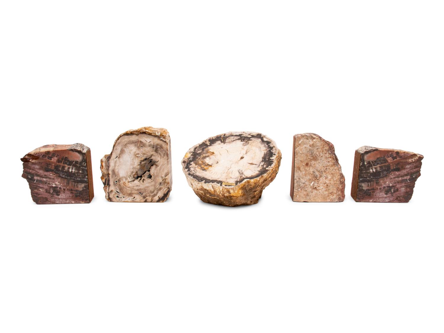 Two Petrified Wood Bookends and One Large Piece of Petrified Cypress Wood