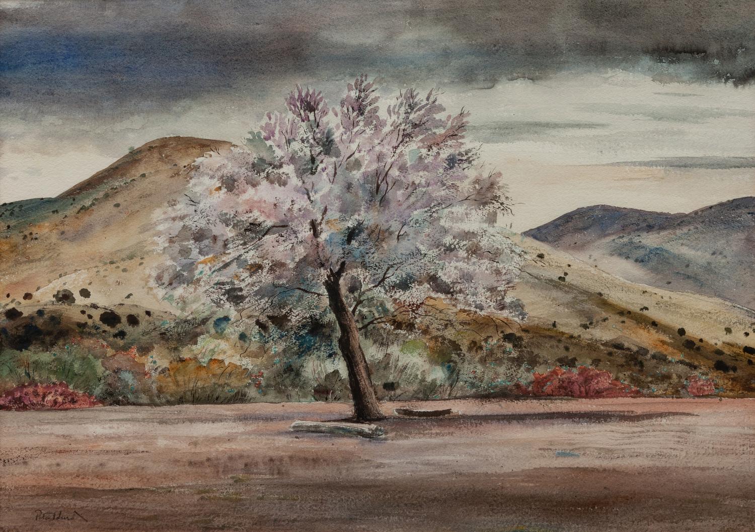 Apple Tree