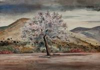 Apple Tree