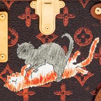LOUIS VUITTON, 'CATOGRAM' PETITE MALLE BAG