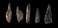 Five Neolithic Flint Blades