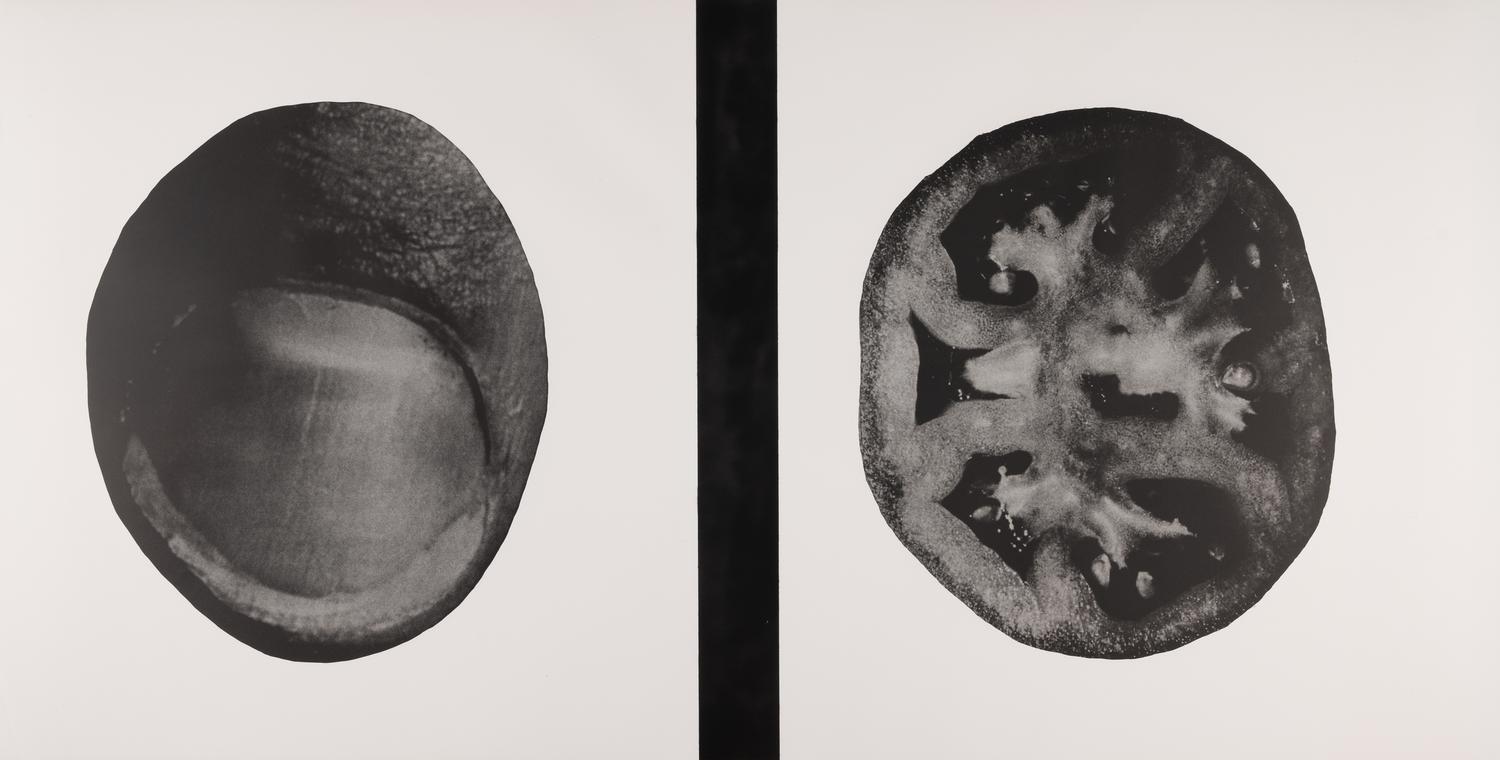 Untitled (A Group of Five Double-Sided Prints)