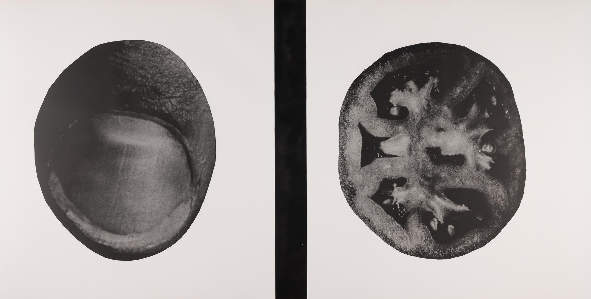 Untitled (A Group of Five Double-Sided Prints)