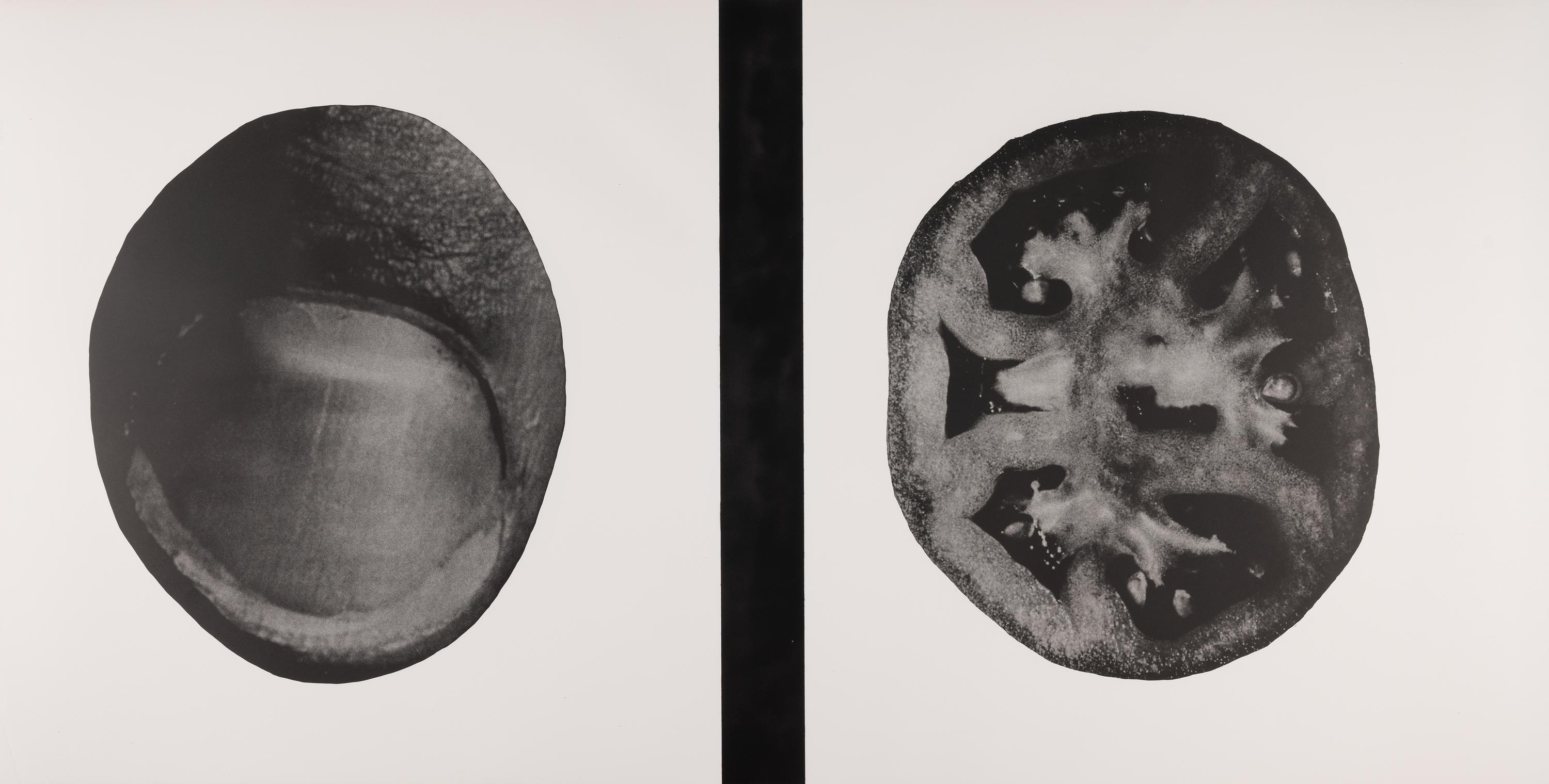 Untitled (A Group of Five Double-Sided Prints)