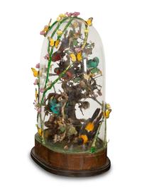 A Victorian Taxidermy Bird Diorama