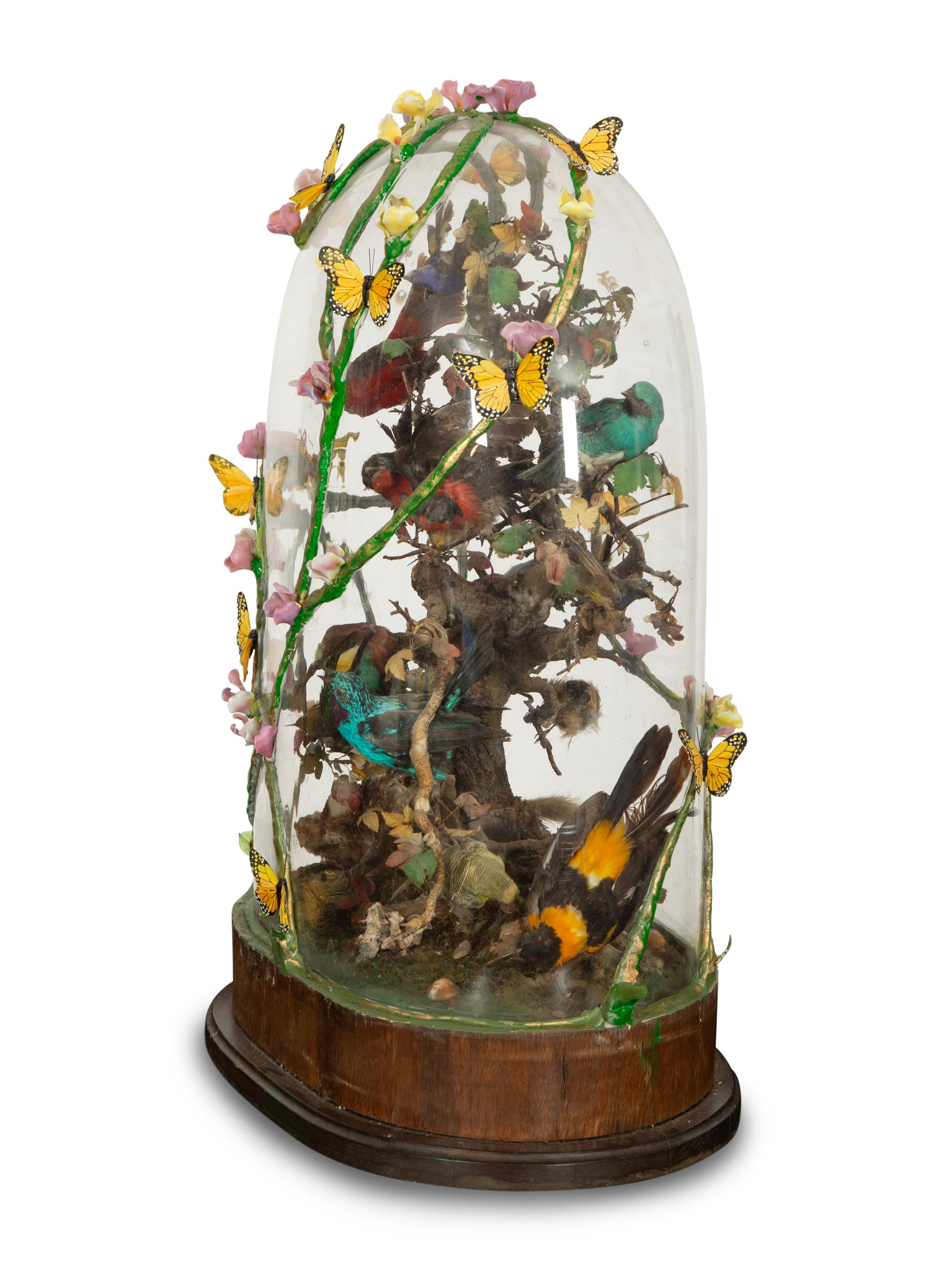 A Victorian Taxidermy Bird Diorama