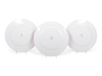 A Set of Thomas Goode Porcelain Chargers