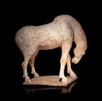 Three Chinese Pottery Equine Figures