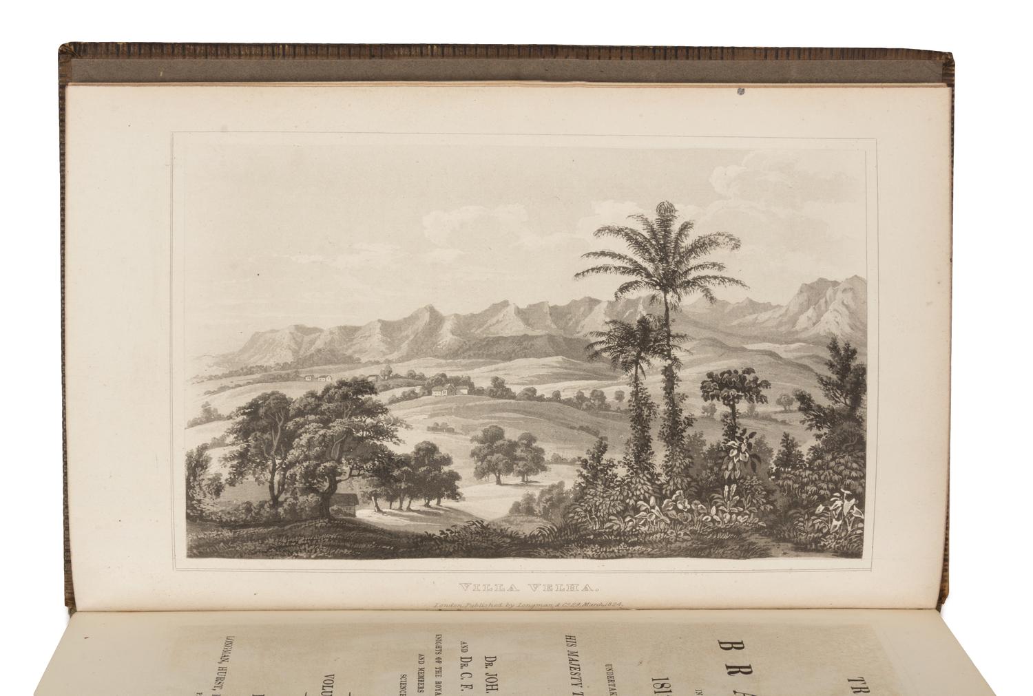 SPIX, John Baptist von (1781-1826) and MARTIUS, Carl Friedrich Philipp von (1794-1868)