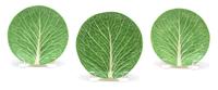 Twenty-One Dodie Thayer Lettuce Ware Side Plates Diameter 6 1/4 inches. — 20TH CENTURY